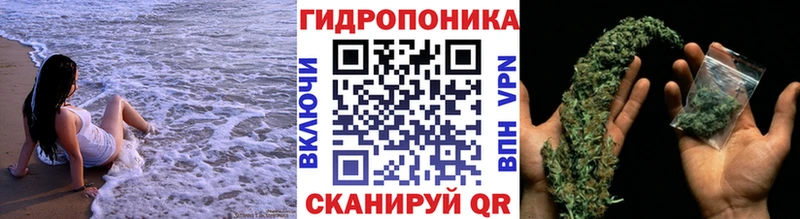 kraken маркетплейс  где купить   Лукоянов  Каннабис OG Kush 